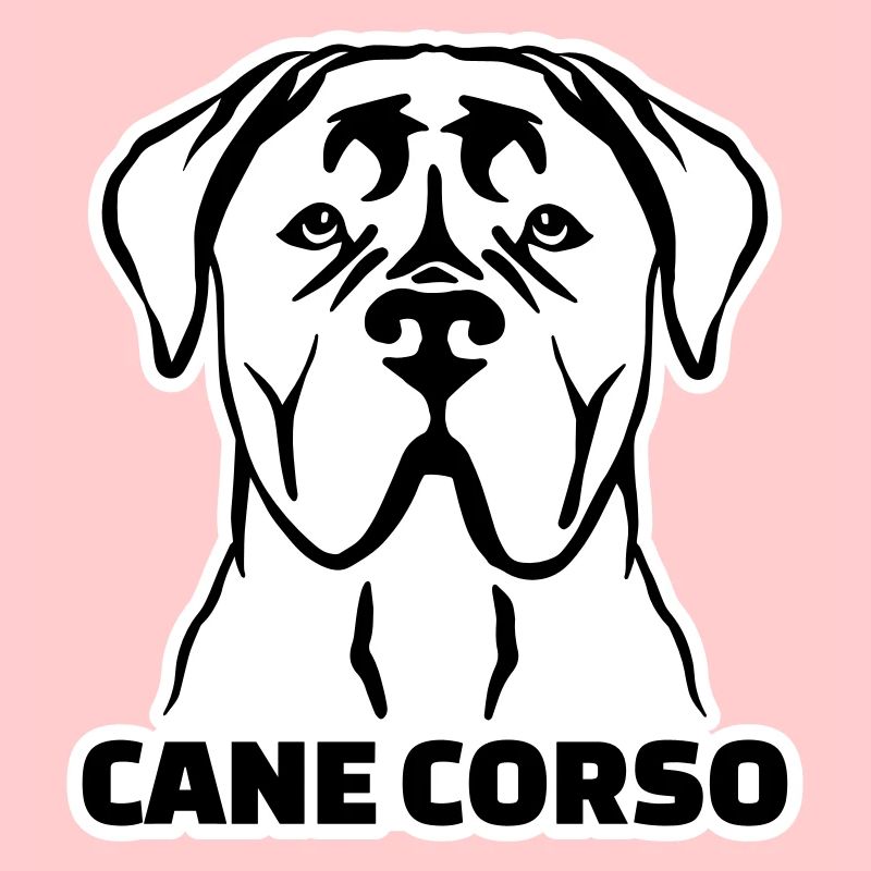 Cane Corso