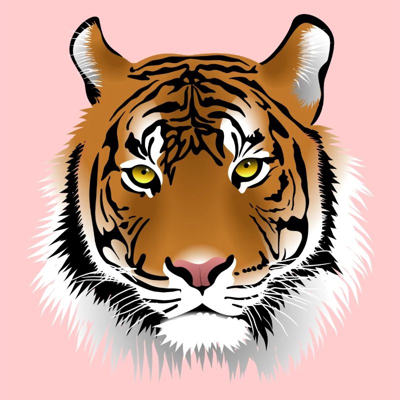 face à Tiger
