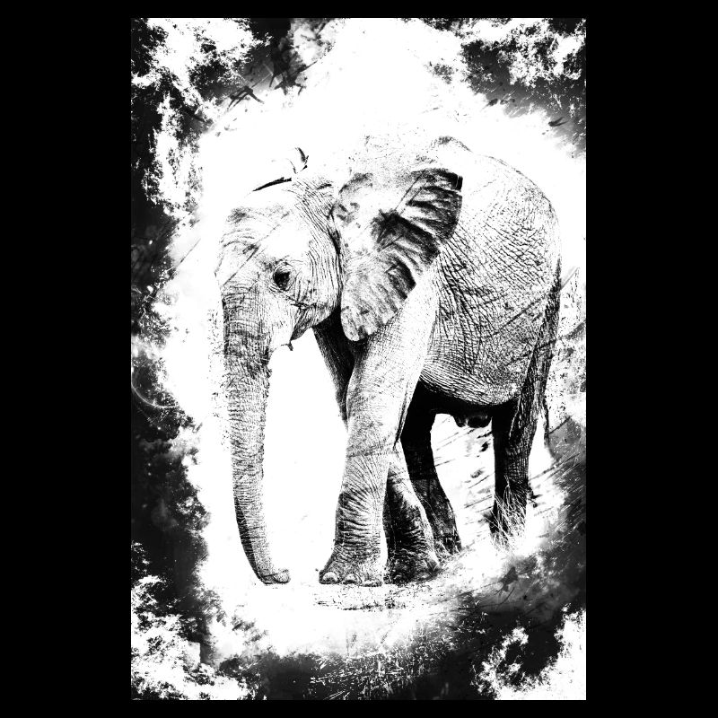 éléphant en noir et blanc