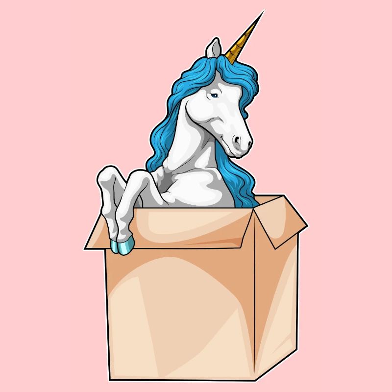 Einhorn Karton