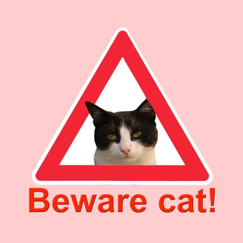 Attention chat signe de trafic chat dame