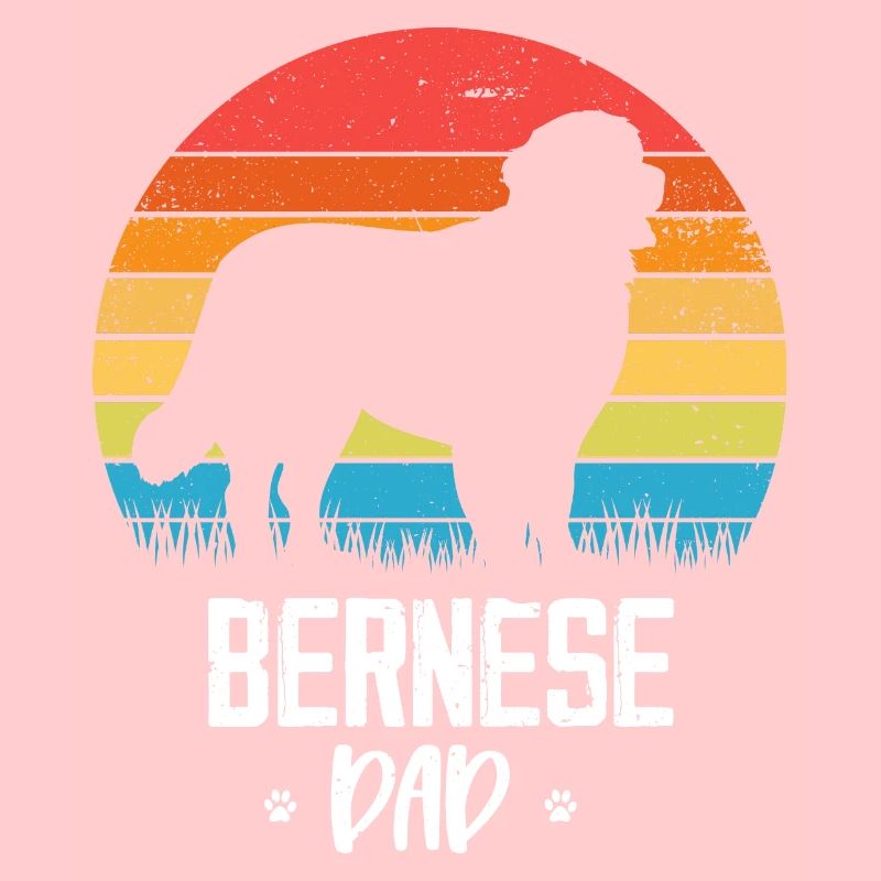 Bouvier bernois