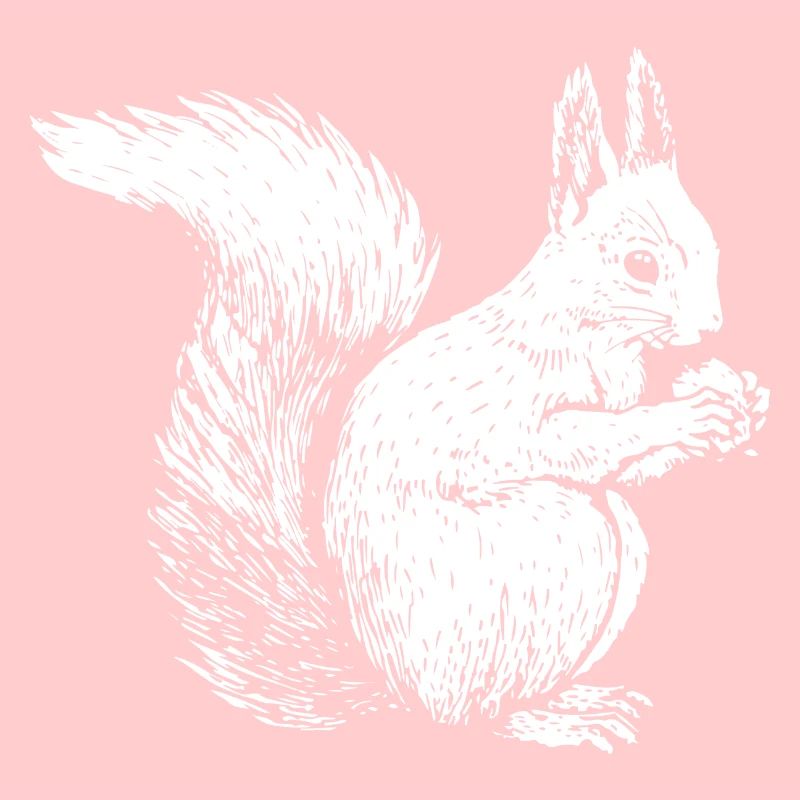 Tier des Waldes Eichhörnchen gezeichnet