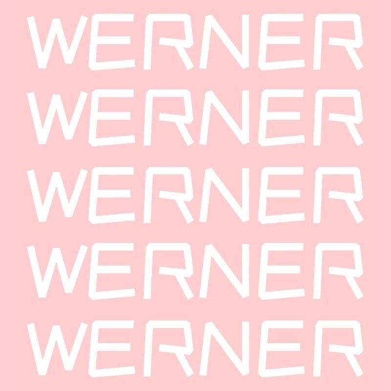 Bachelor Werner