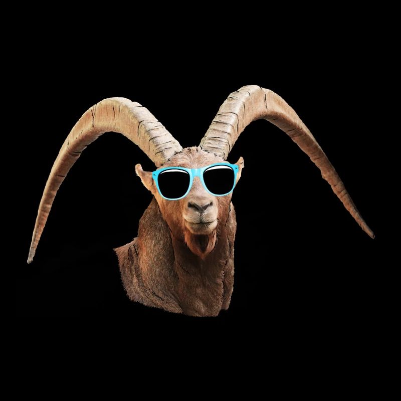 angesagter Steinbock