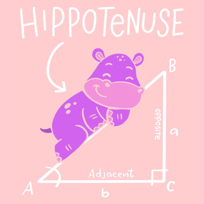 Hippoténuse Hypoténuse Triangle Géométrie Math