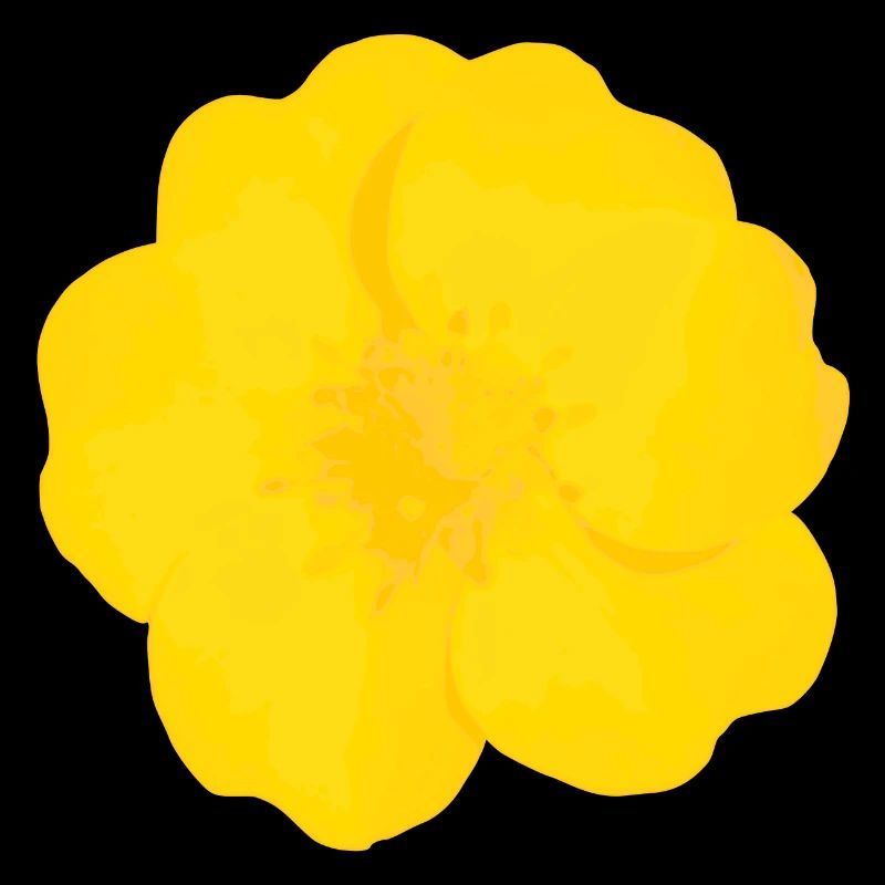 Buttercup Bold