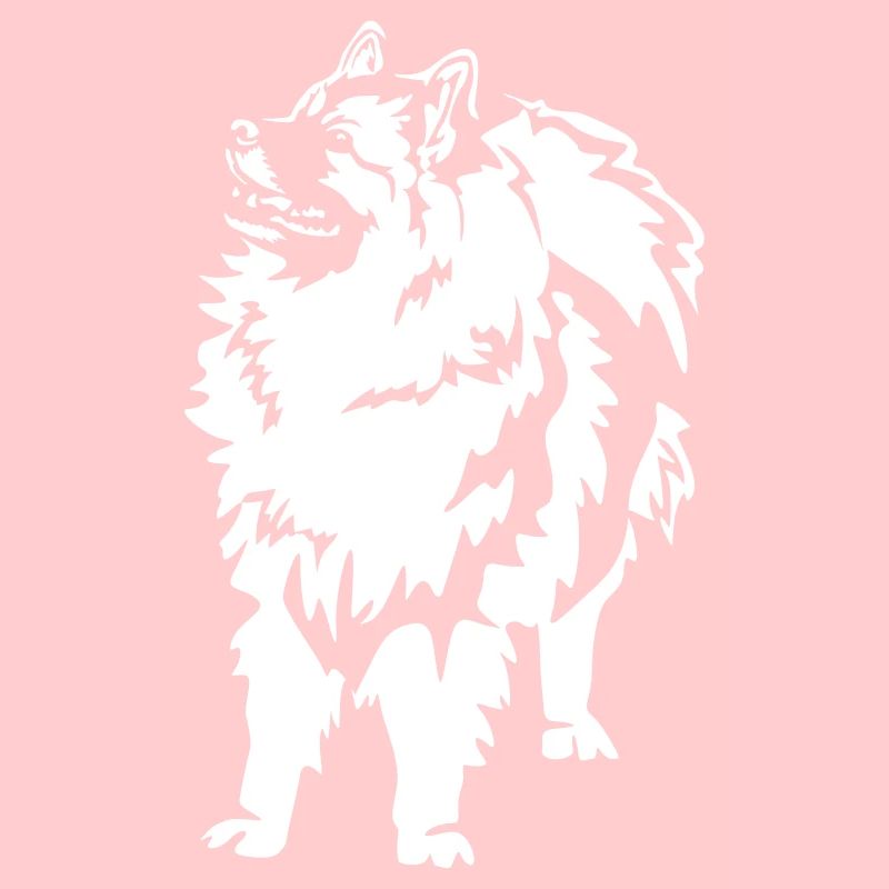 Wolfsspitz « Édition Noire »