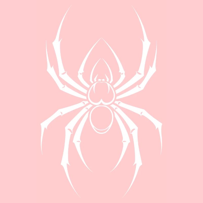 spider