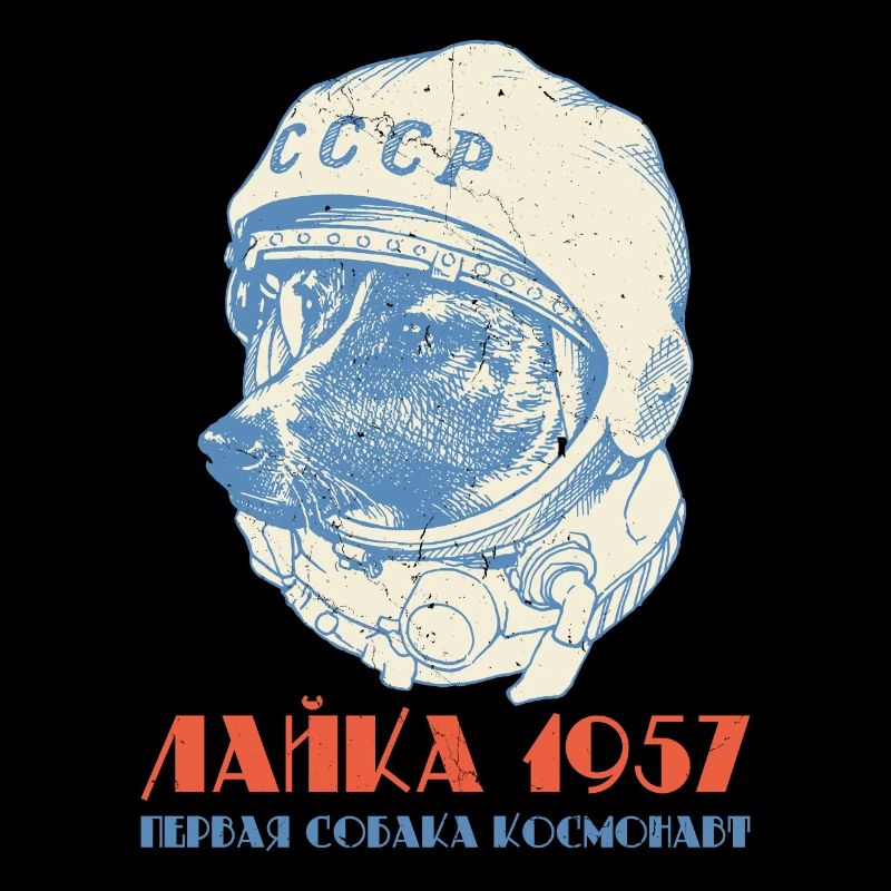 The first dog astronaut Laika 1957 Soviet