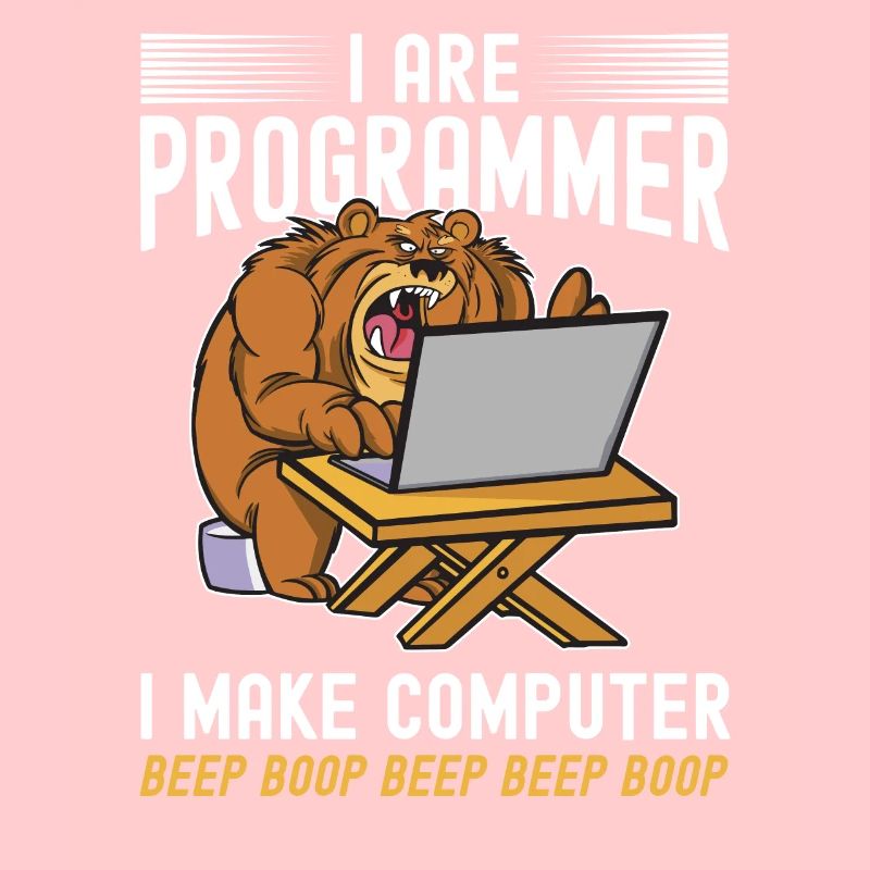 i am a programmer