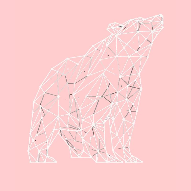 Bear Polygon
