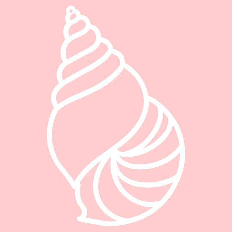 shell