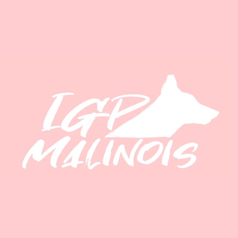 IGP Malinois Blanc