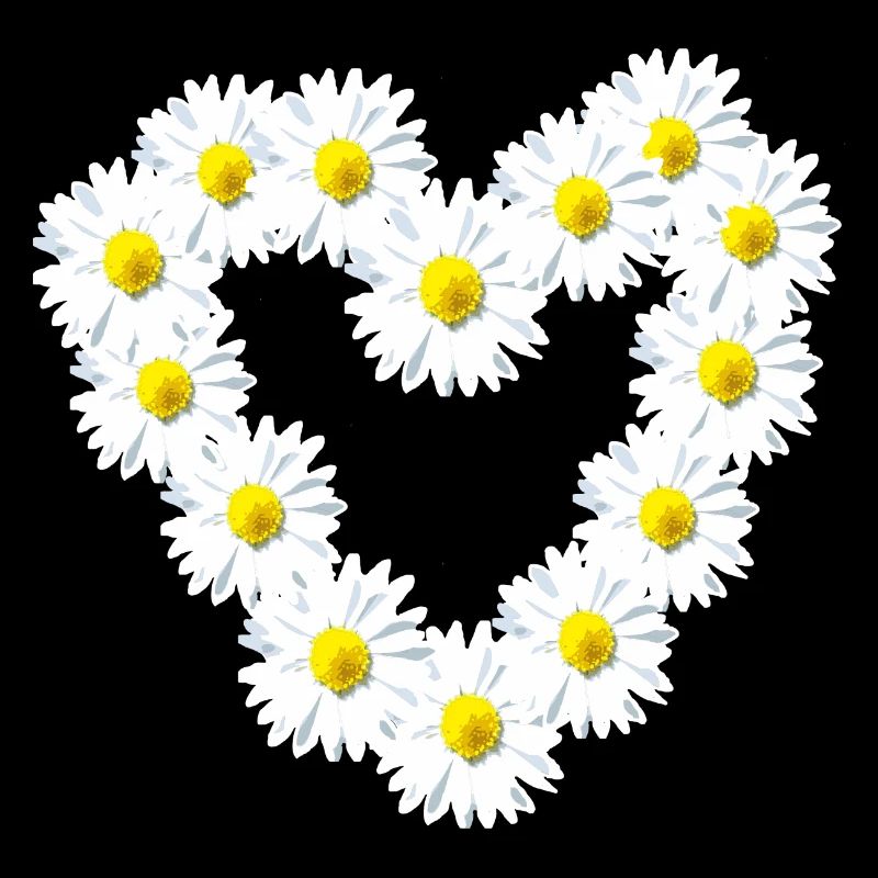Herz Gänseblume Gänseblümchen Herzlich