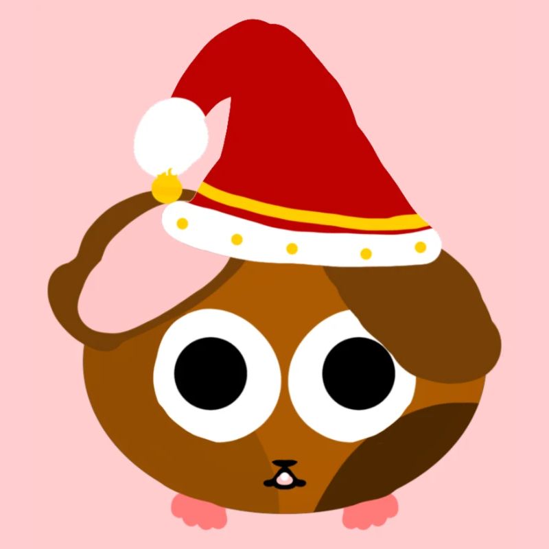 Jonon cochon d’Inde de Noël