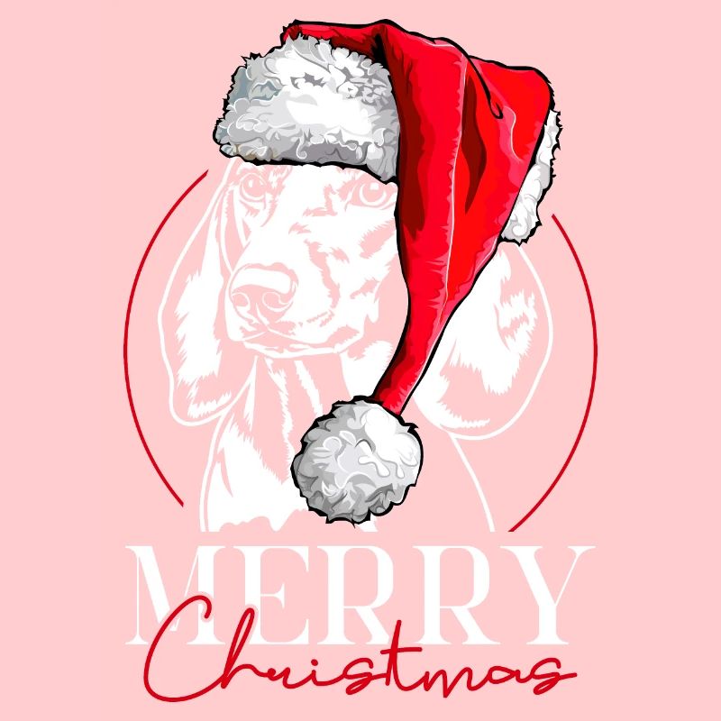 Père Noël Teckel Teckel Joyeux Noël Chiens Wilsigns