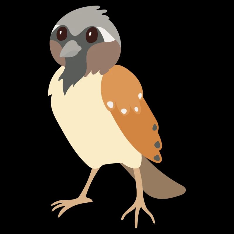 sparrow