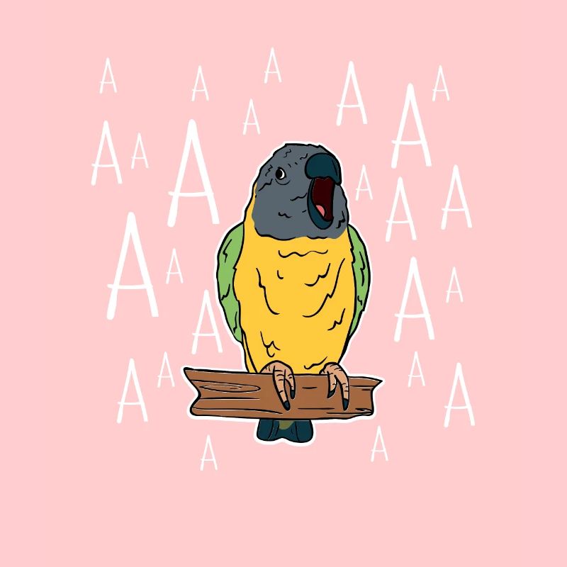 Screaming Senegal Parrot