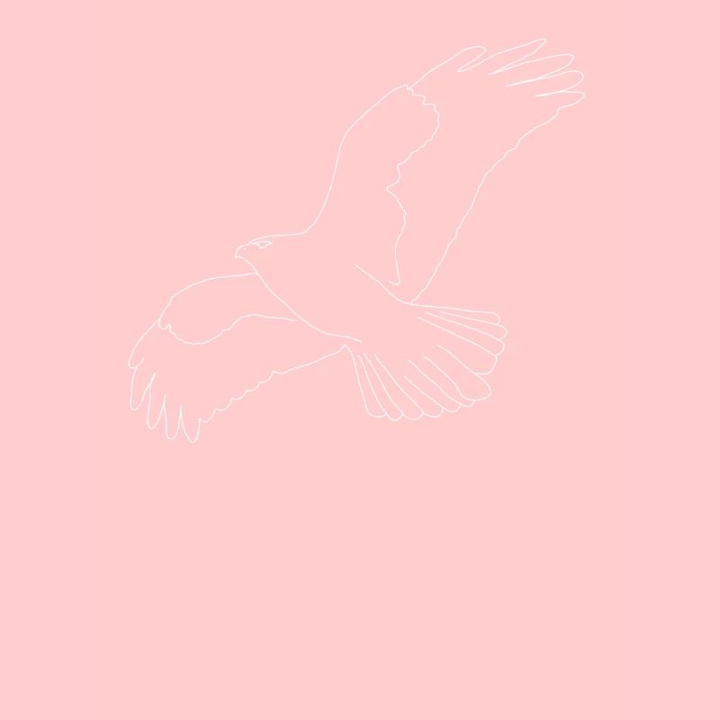 Buzzard