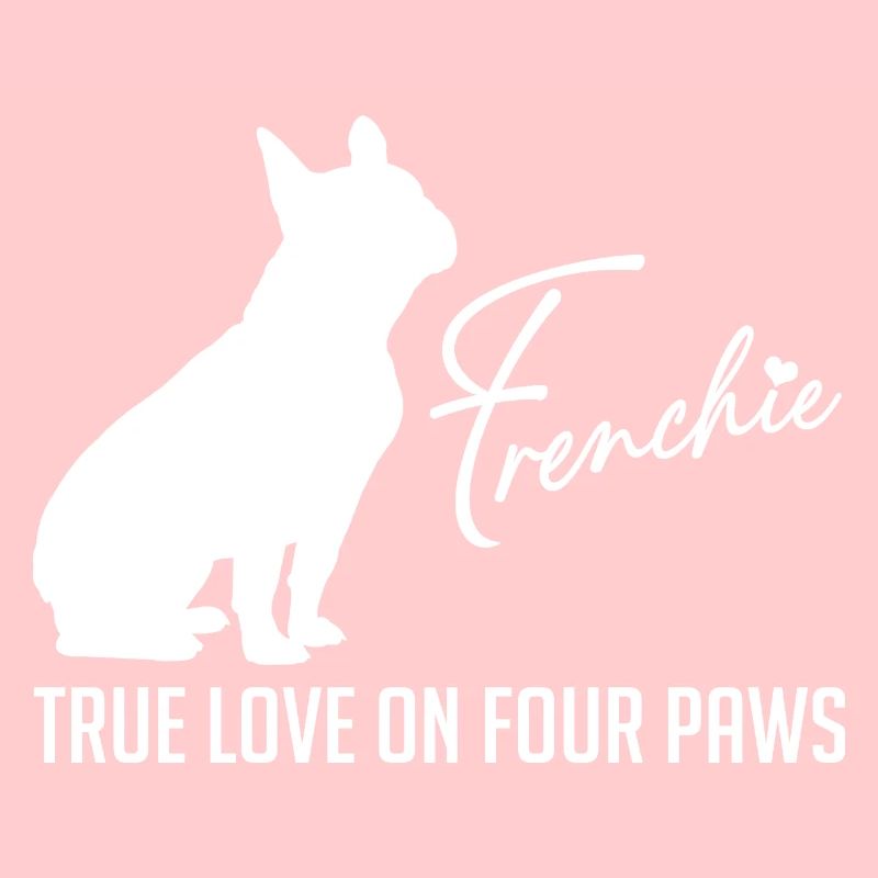 Frenchie Liebe auf vier Pfoten