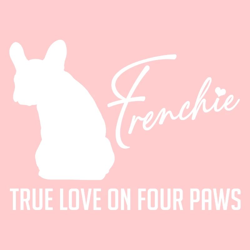 Frenchie Liebe auf vier Pfoten