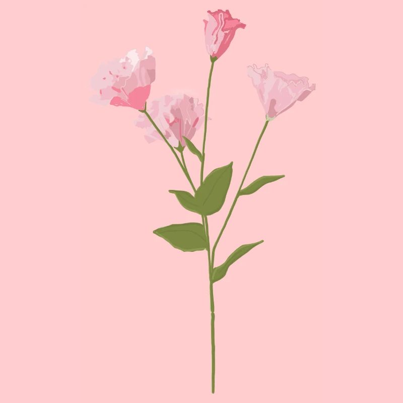 Rosa Blume