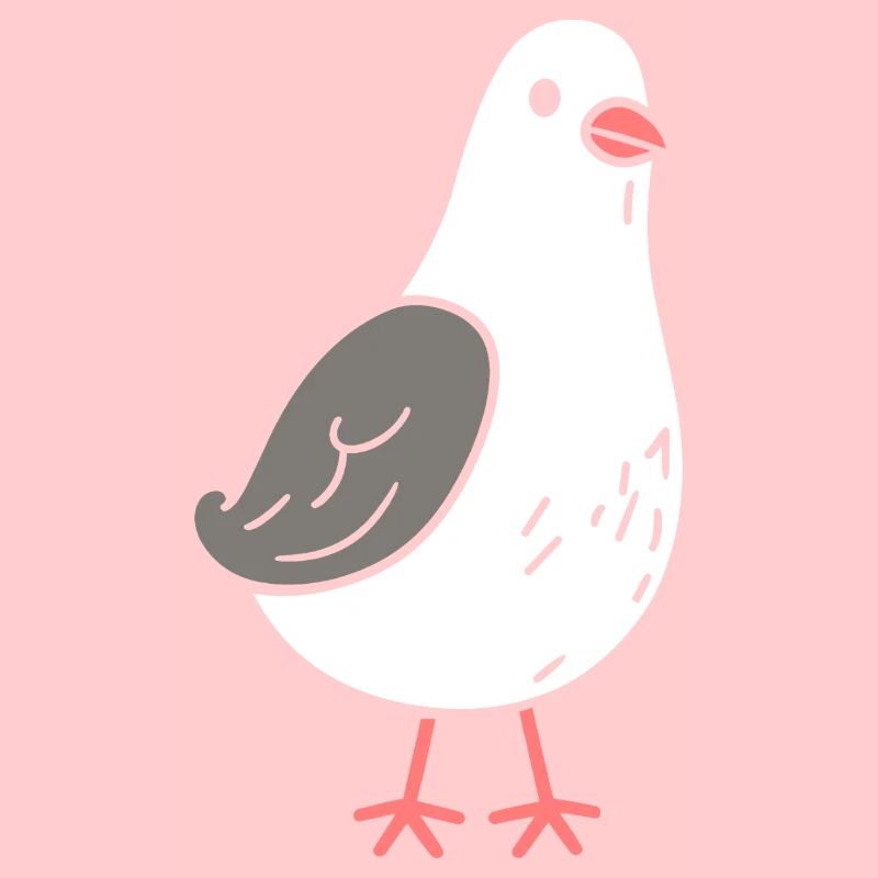 pigeon