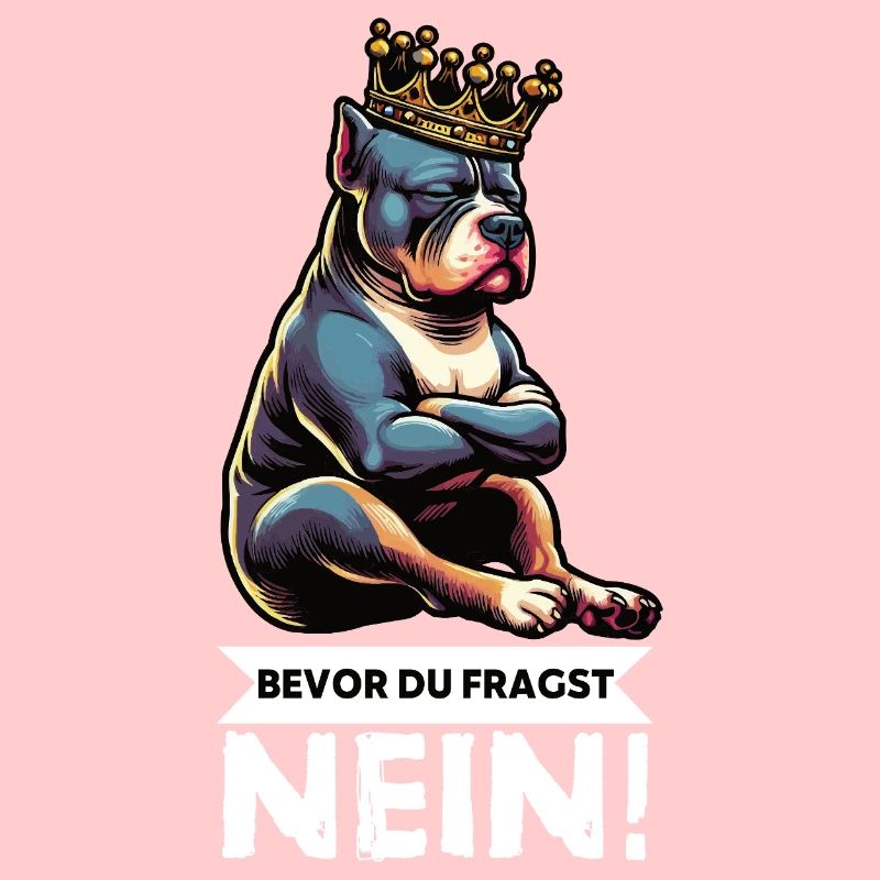 Bevor Du Fragst Nein American Bully Bully Pit