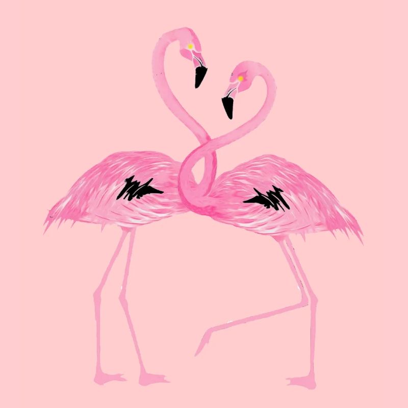 flamant pink design