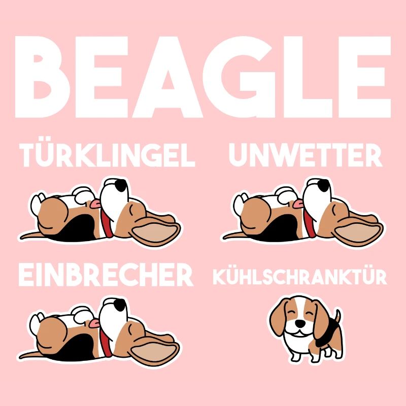 Hund Beagle