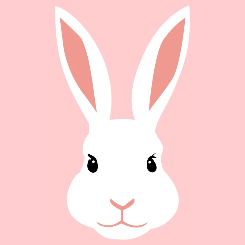 Lapine blanche
