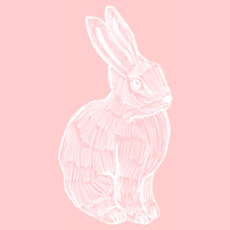 Silhouette de lapin imprimé printemps