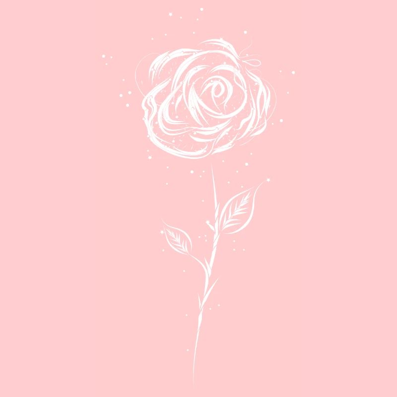 Dessin d'une rose blanche