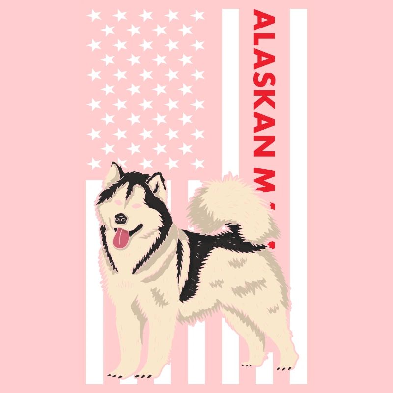 Malamute d’Alaska drapeau des États-Unis