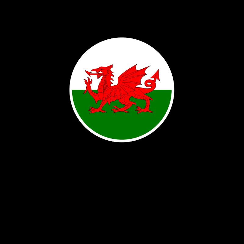 Wales Welsh flag Welsh