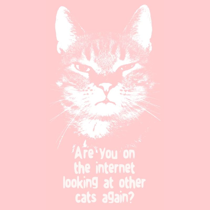 Internet-Katze