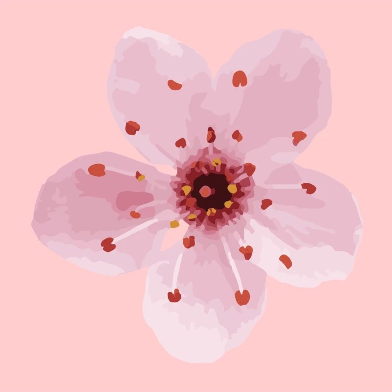 fleur de cerisier