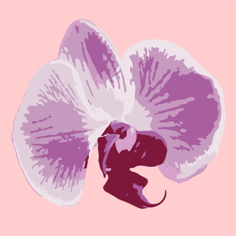 orchidée