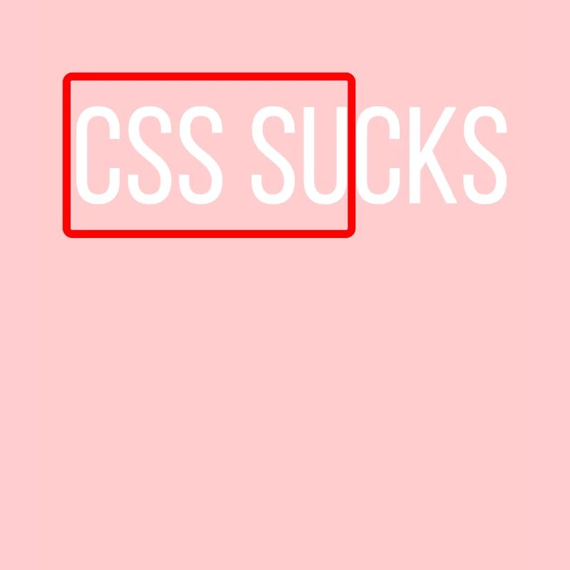 CSS sucks CSS programming funny programmers