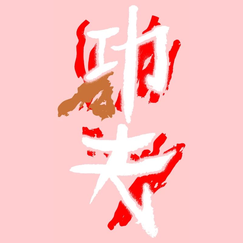Kungfu (Harte Arbeit)