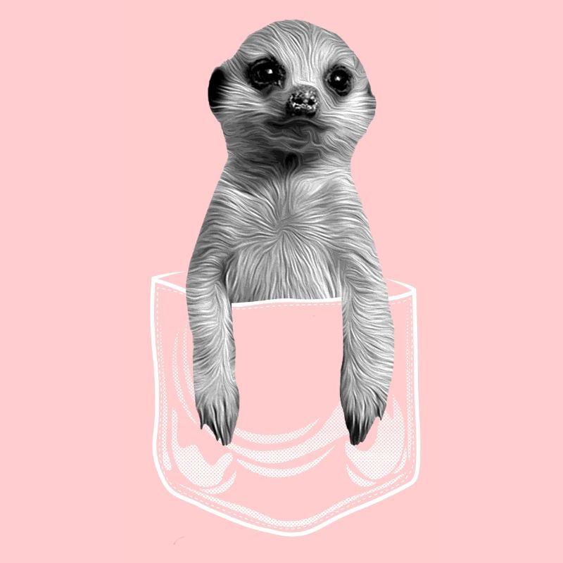 Bébé suricate en poche