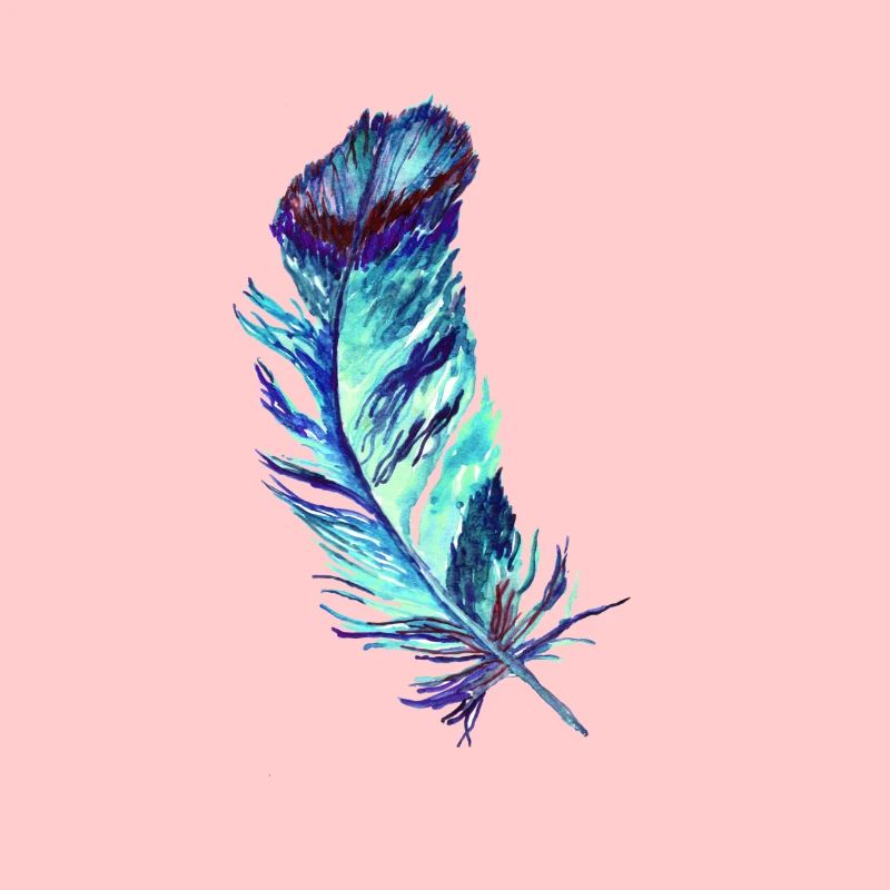 feathers