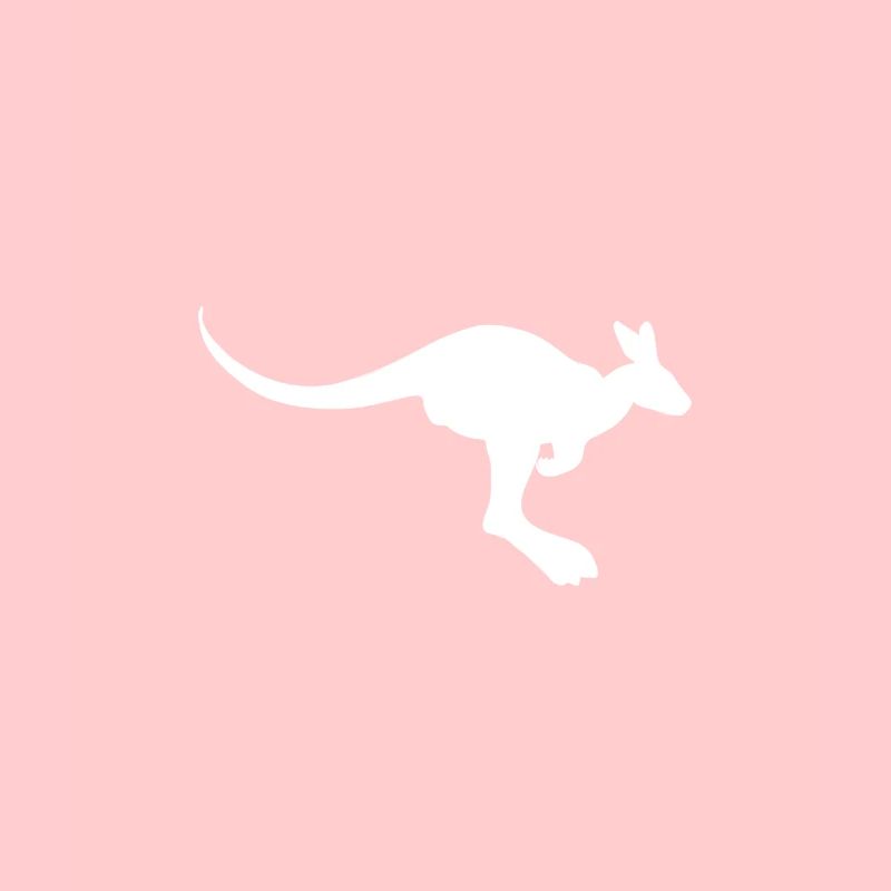 Känguru Australien kangaroo roo wallaby outback