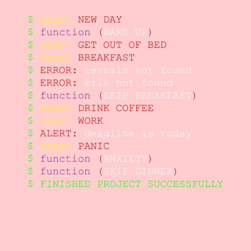 Programmer joke code function method