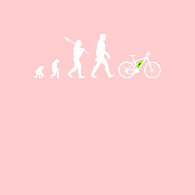 Ebike Bicycle Evolution Electric Bicycle