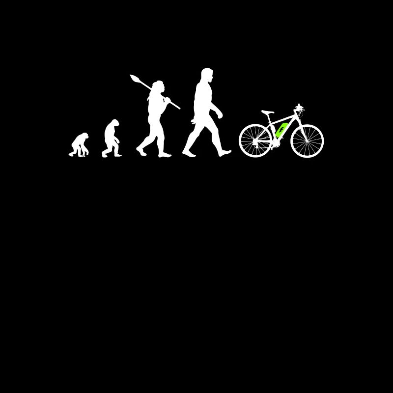 Ebike Fahrrad Evolution Elektrofahrrad