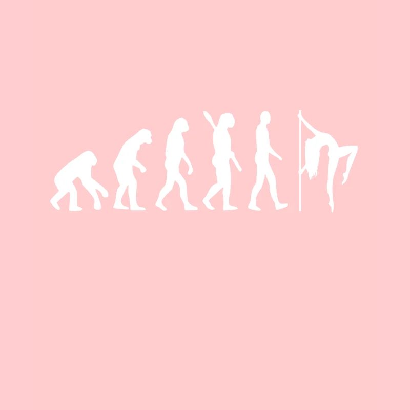Pole dance Evolution