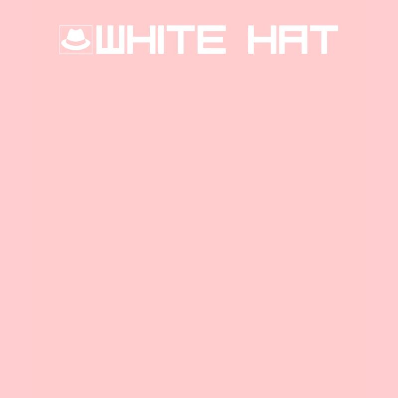 White Hat Hacker Typ