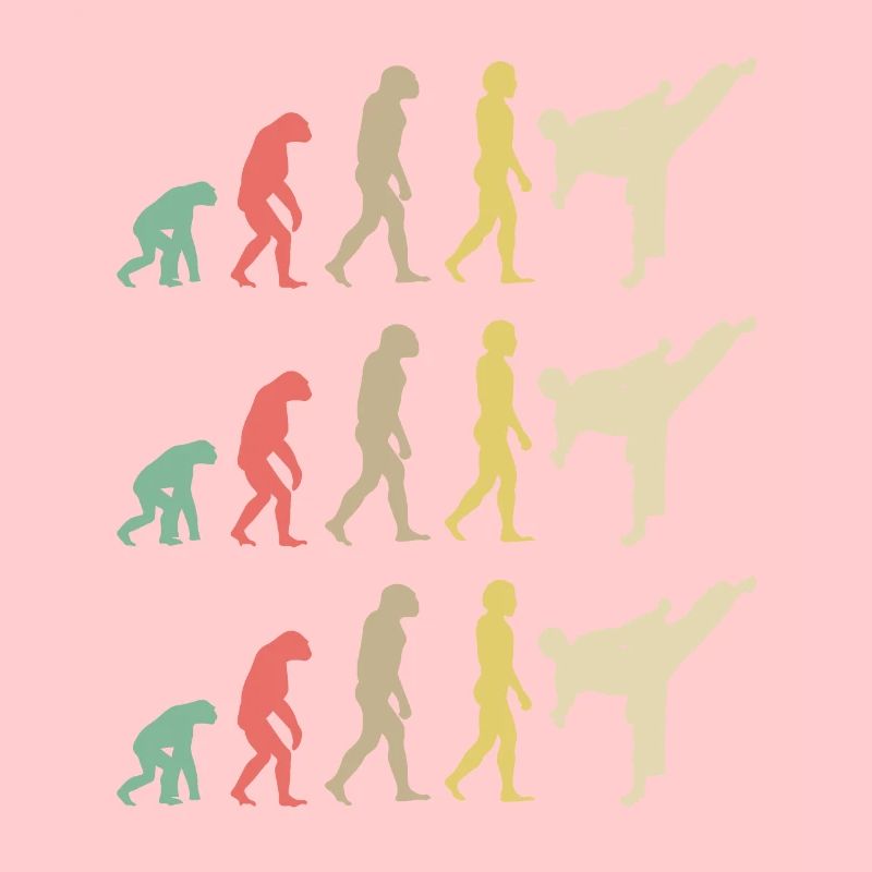 Karate Evolution - Taekwondo